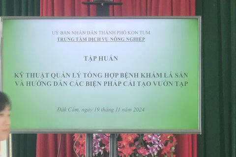 Tập huấn kỹ thuật quản lý tổng hợp bệnh khảm lá sắn và hướng dẫn các biện pháp cải tạo vườn tạp